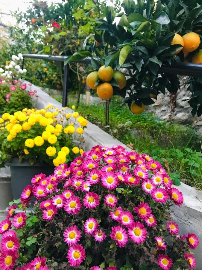 Gjirokastër Grandpa'S Home מראה חיצוני תמונה